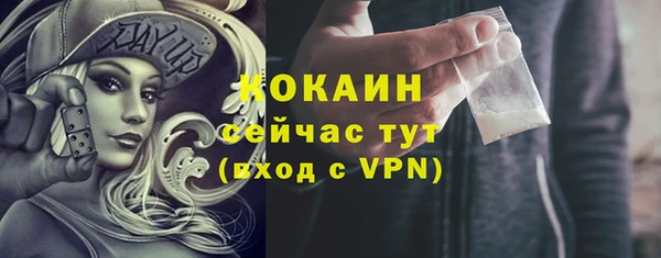 прущие грибы Нефтекумск