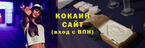 прущие грибы Нефтекумск