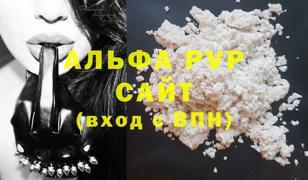 прущие грибы Нефтекумск