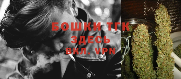 прущие грибы Нефтекумск
