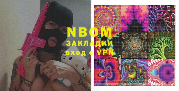 прущие грибы Нефтекумск