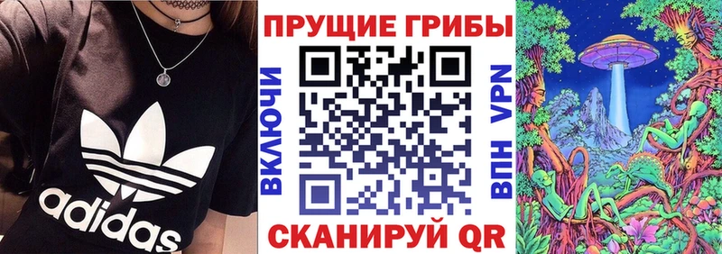 Купить где  Талица  Галлюциногенные грибы Magic Shrooms 